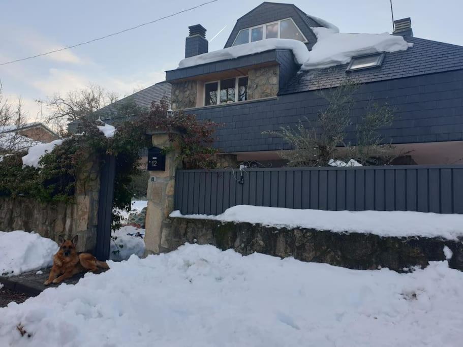 Chalet De 5 Habitaciones En La Sierra De Madrid El Olivo De Miraflores Мірафлорес-де-ла-Сьєрра Екстер'єр фото